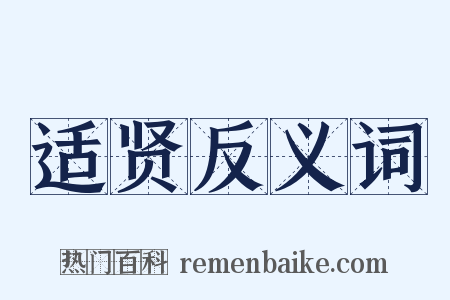 适贤反义词是什么意思的图片